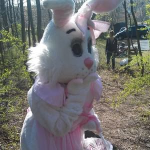 Meet your Posher, Linda